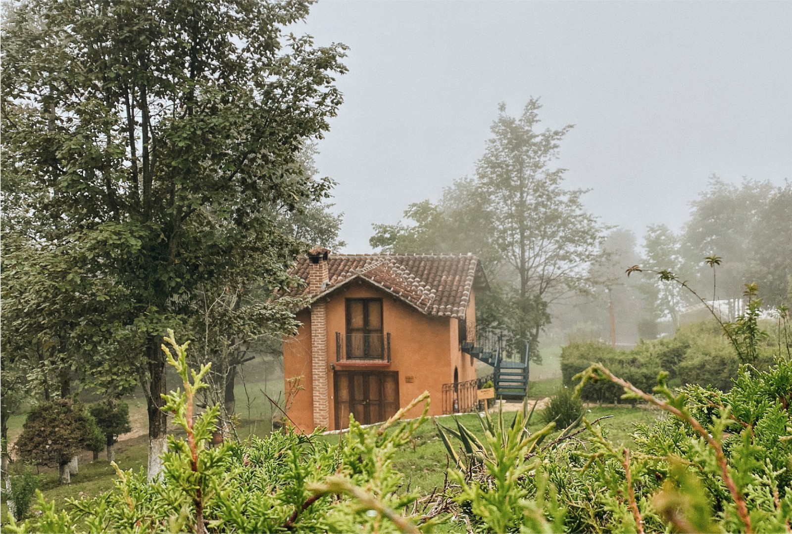 Cabañas y Suites Sergia Torres